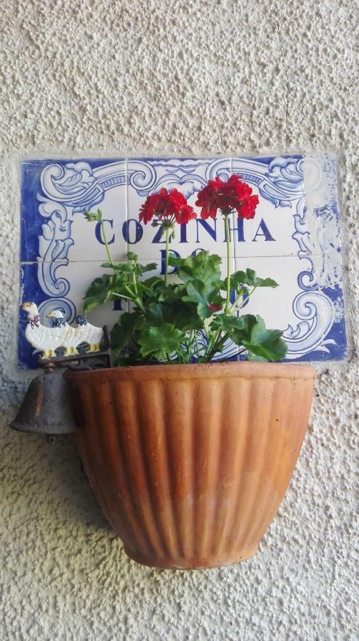 Vila Delfina Lousã Esterno foto